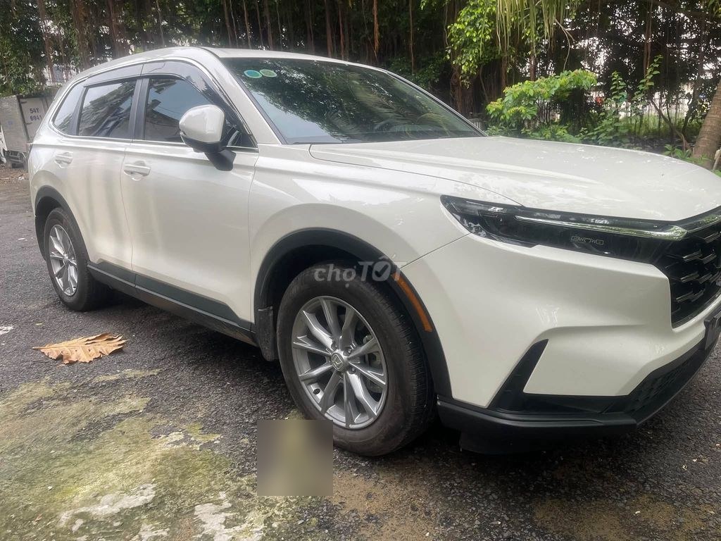 Honda CR V 2024 - ảnh 1