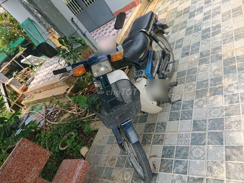 Honda 1984 - ảnh 1