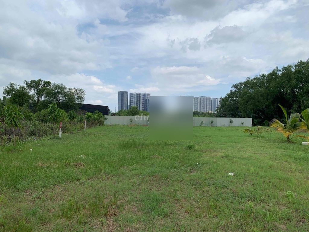 Bất động sản tại Tp Hồ Chí Minh - ảnh 1