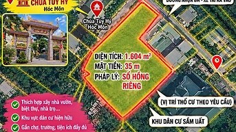 Đất tại Xã Tân Hiệp, Huyện Hóc Môn, Tp Hồ Chí Minh - ảnh 1