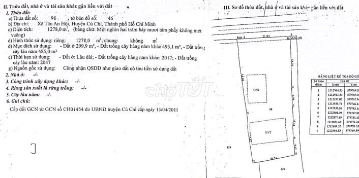 Bất động sản tại Tp Hồ Chí Minh - ảnh 1