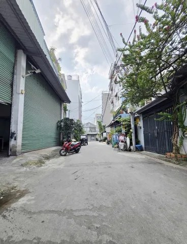 Bất động sản tại Tp Hồ Chí Minh - ảnh 1