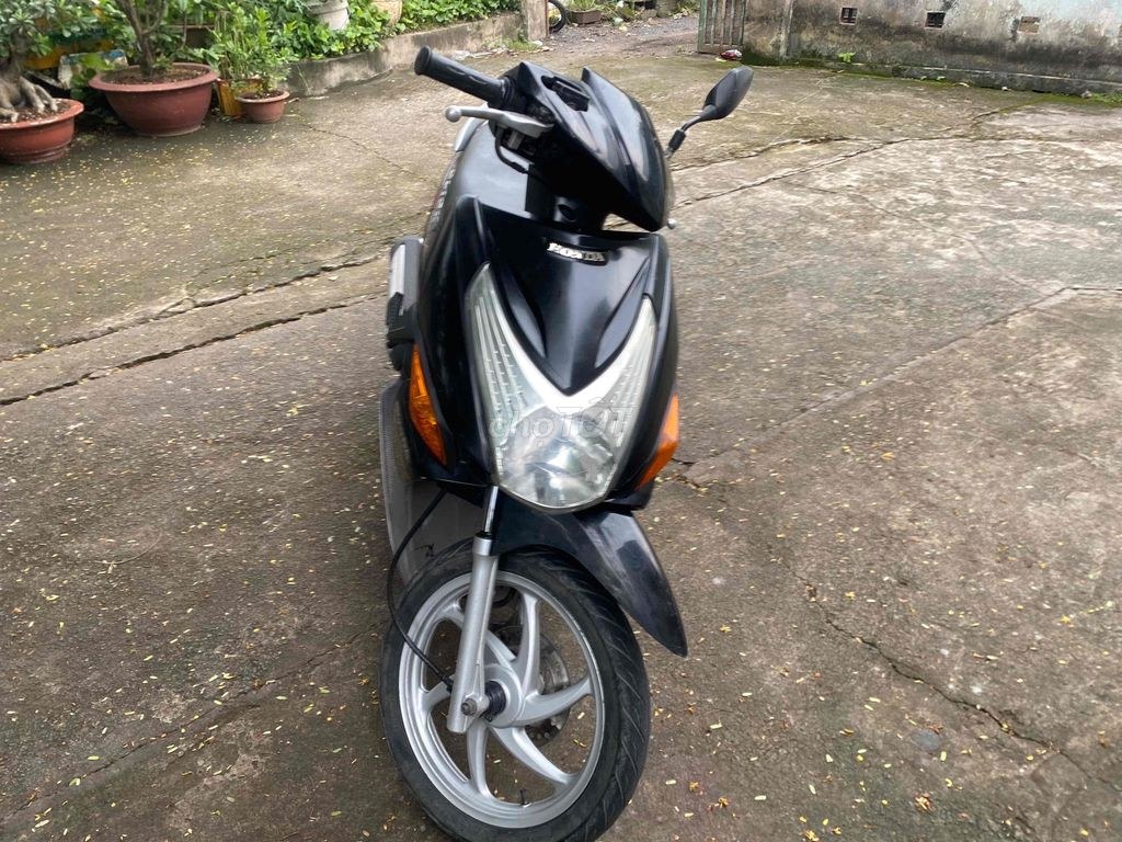 Honda 2011 - ảnh 1