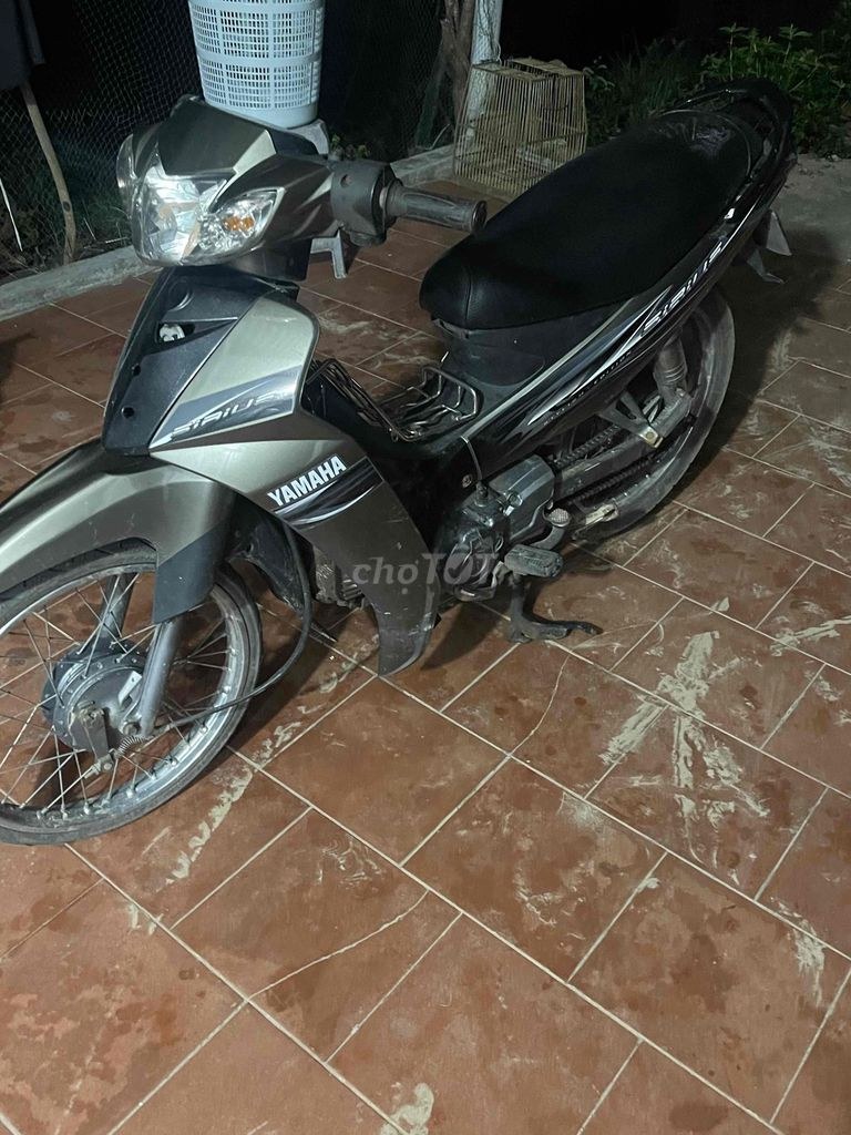 Yamaha 2010 - ảnh 1