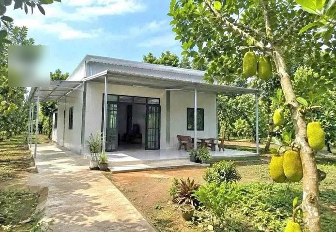 Bất động sản tại Tp Hồ Chí Minh - ảnh 1