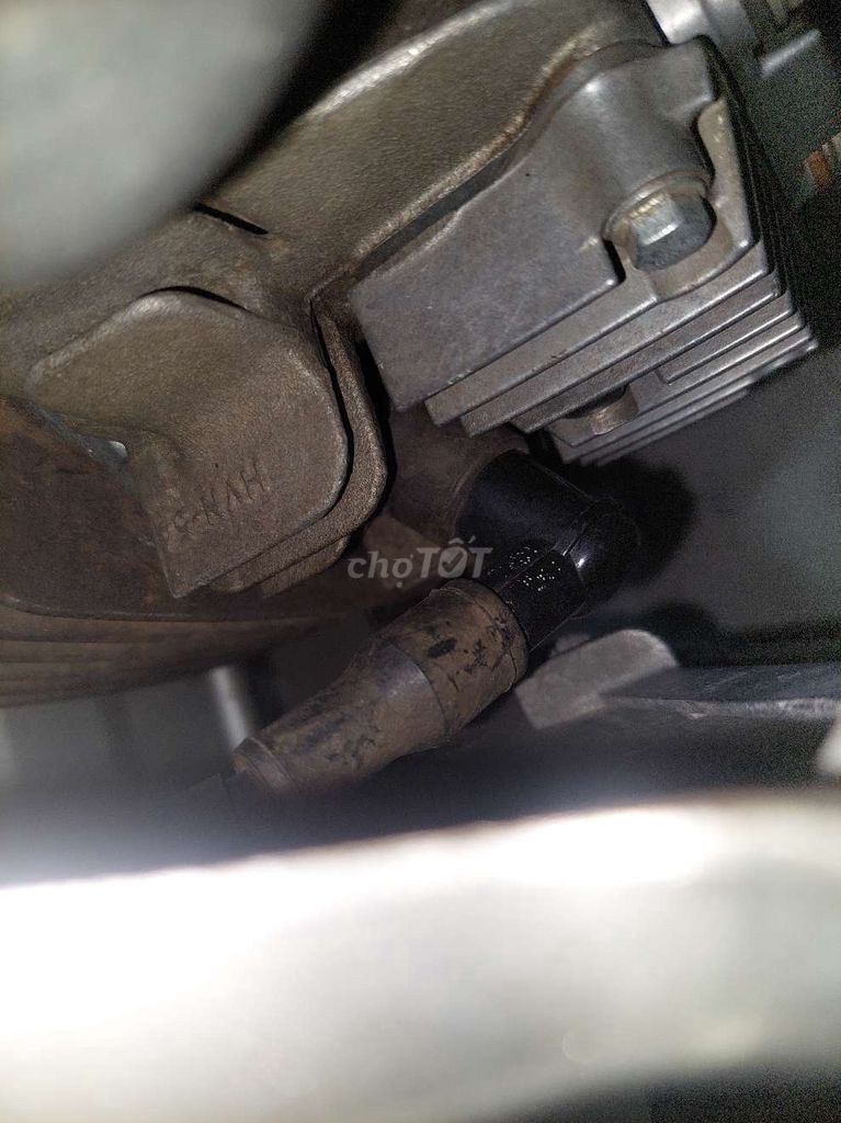 Honda 2011 - ảnh 1