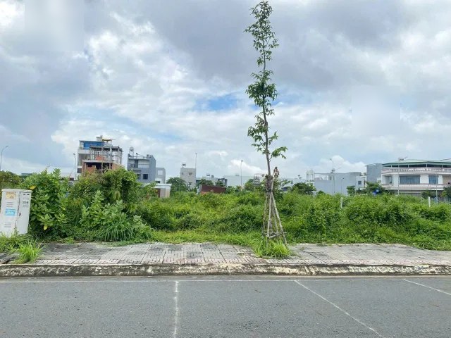Bất động sản tại Tp Hồ Chí Minh - ảnh 1