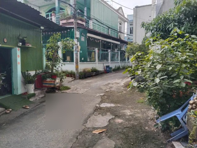 Bất động sản tại Tp Hồ Chí Minh - ảnh 1