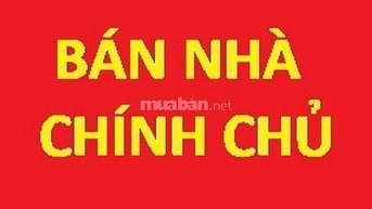 Bất động sản tại Tp Hồ Chí Minh - ảnh 1