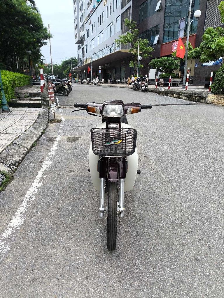 Honda 2010 - ảnh 1