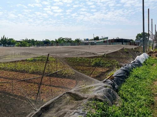 Bất động sản tại Tp Hồ Chí Minh - ảnh 1