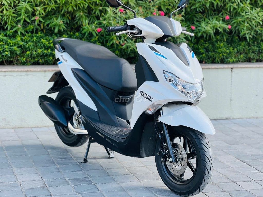 Yamaha 2024 - ảnh 1