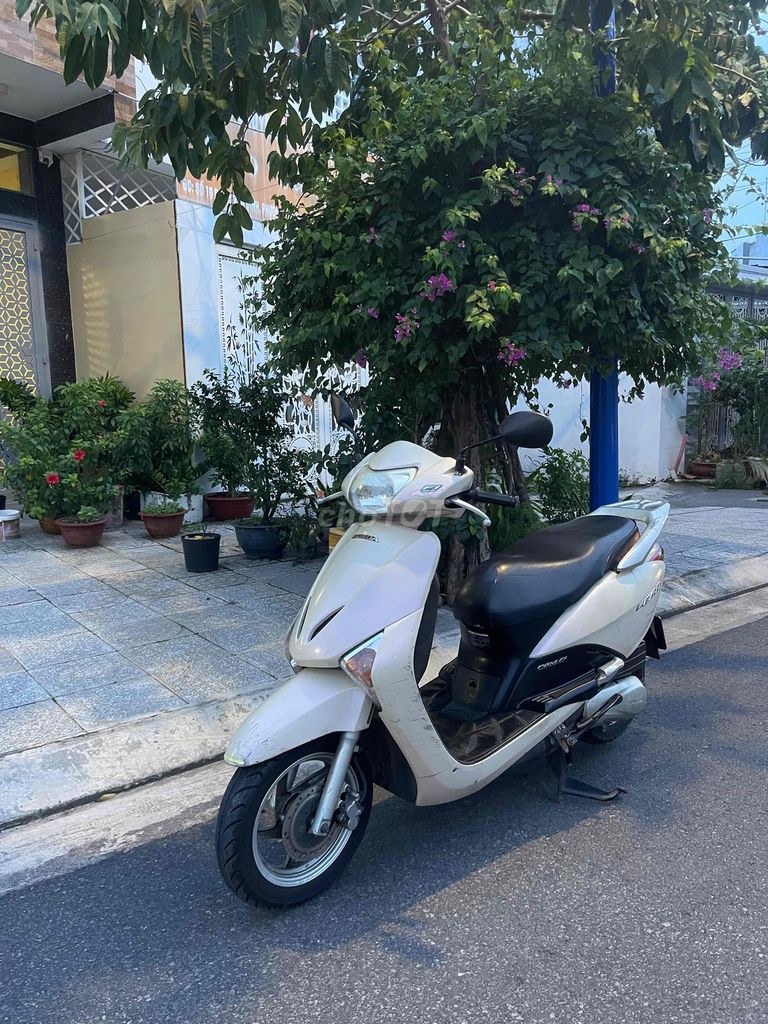 Honda 2010 - ảnh 1