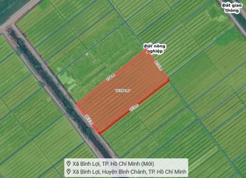 Bất động sản tại Tp Hồ Chí Minh - ảnh 1