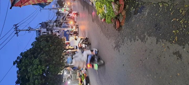 Bất động sản tại Tp Hồ Chí Minh - ảnh 1