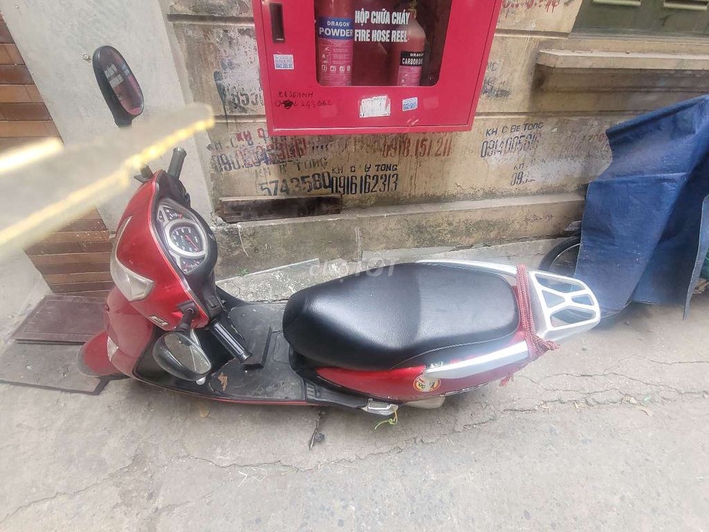 Honda 2012 - ảnh 1