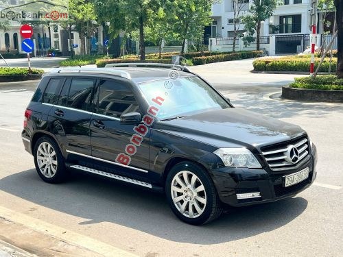 Mercedes-Benz GLK Class 300 4Matic 2010 - ảnh 2