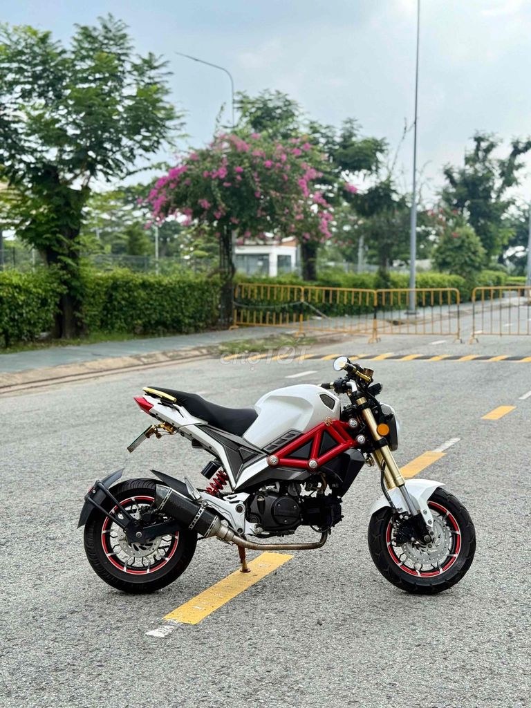Ducati 2019 - ảnh 1