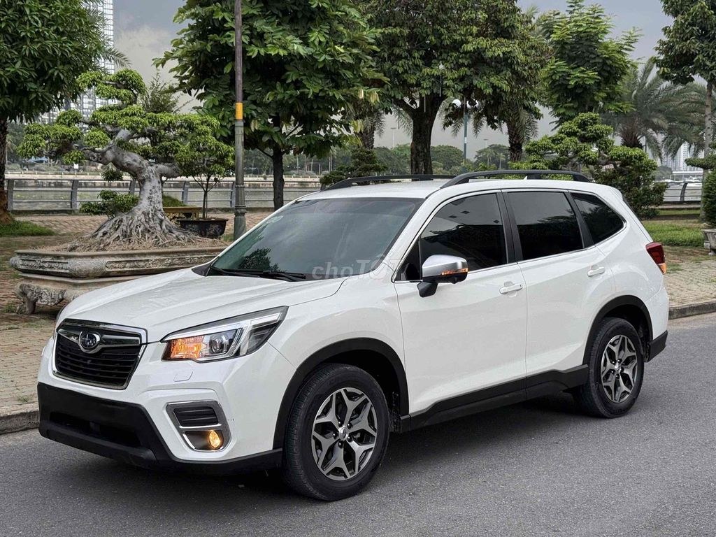 Subaru Forester 2019 - ảnh 1