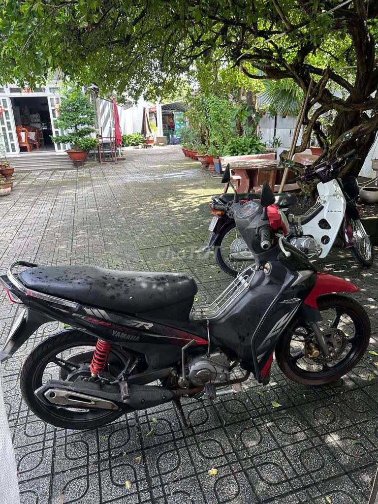 Yamaha 2013 - ảnh 1