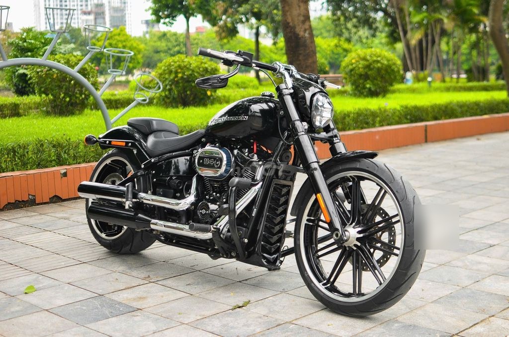 Harley-Davidson 2021 - ảnh 1