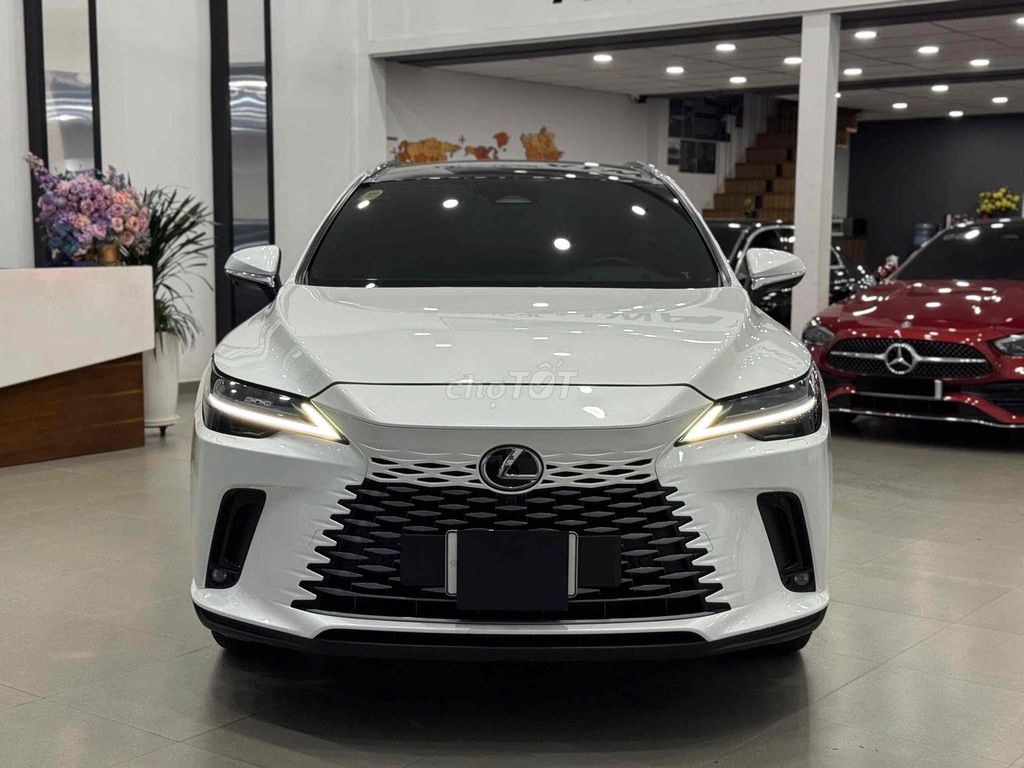 Lexus RX 2023 - ảnh 1