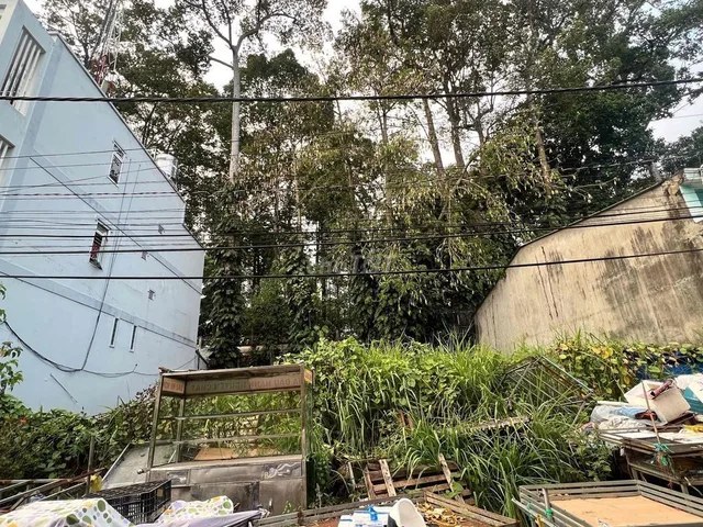 Real estate in Tp Hồ Chí Minh - photo 1