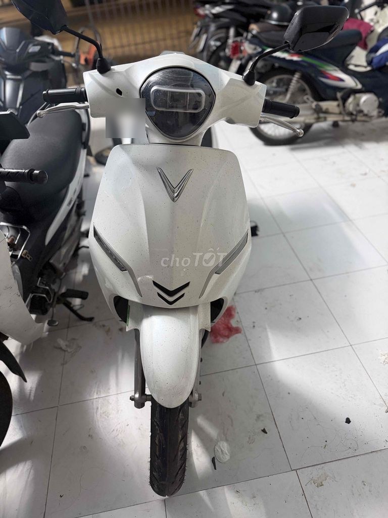 VinFast 2025 - ảnh 1