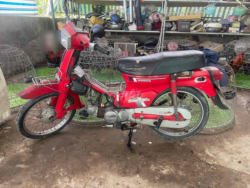 Honda 1981 - ảnh 1