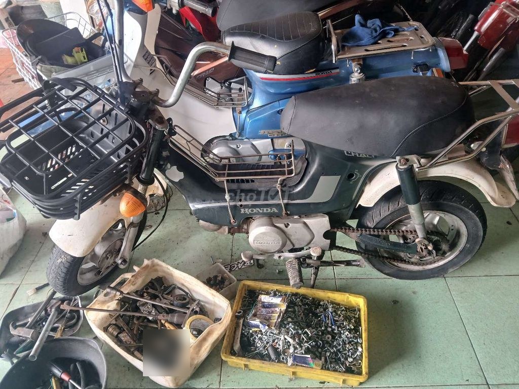 Honda 1981 - ảnh 1