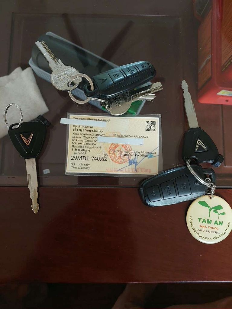 VinFast 2021 - ảnh 1