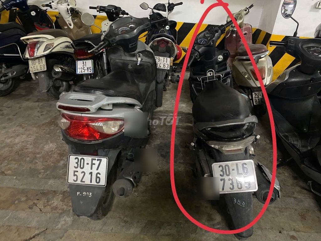 Suzuki 2010 - ảnh 1