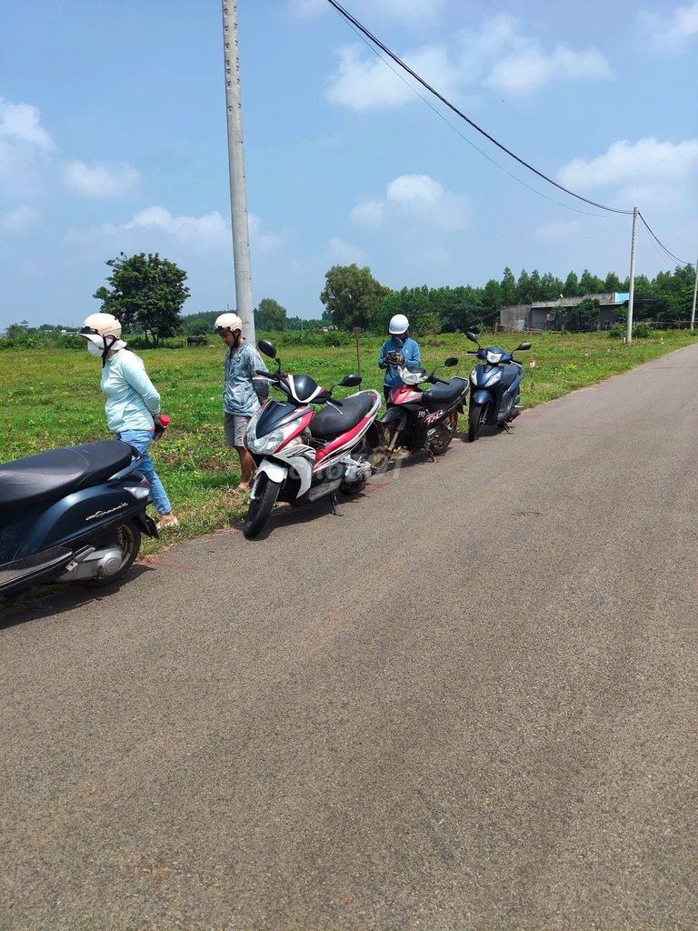 Bất động sản tại Tp Hồ Chí Minh - ảnh 1