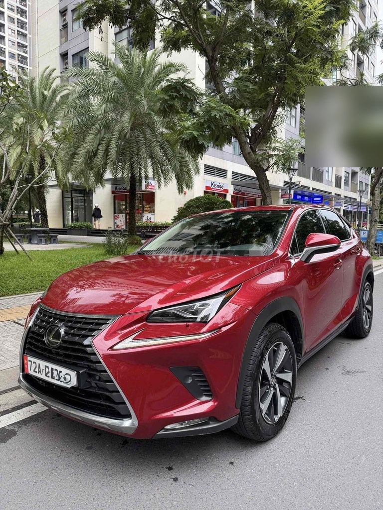 Lexus NX 2021 - ảnh 1