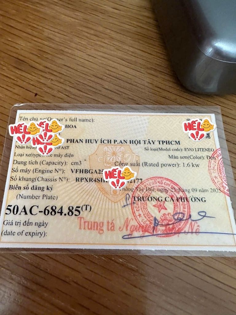 VinFast 2025 - ảnh 1