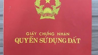 Bất động sản tại Tp Hồ Chí Minh - ảnh 1
