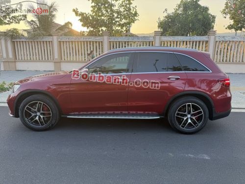 Mercedes-Benz GLC 300 4Matic 2016 - ảnh 2