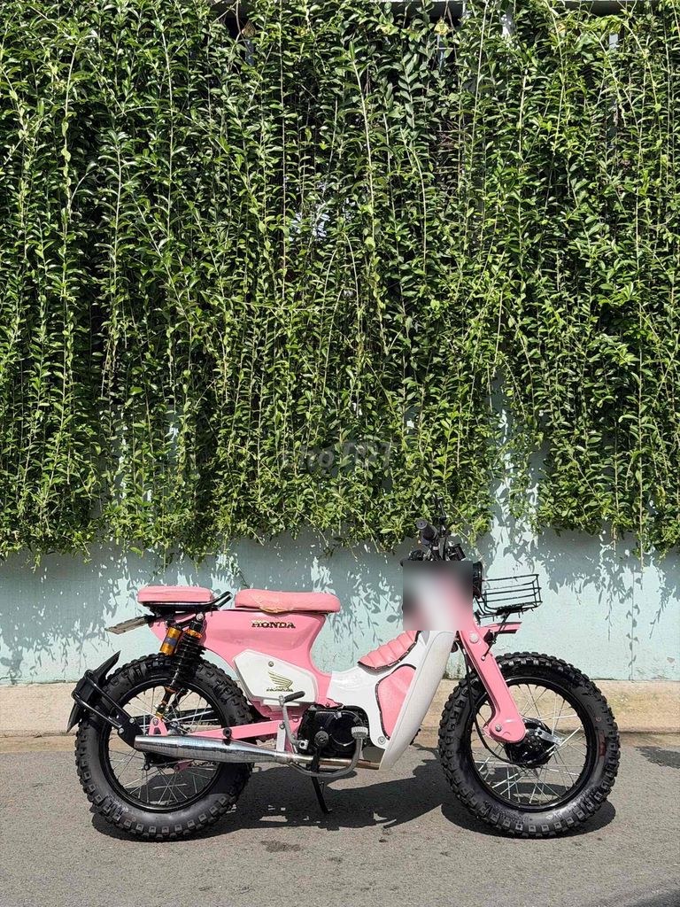Honda 2010 - ảnh 1