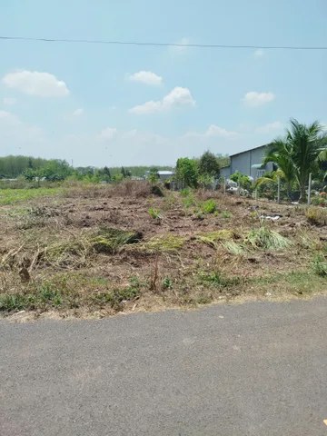 Bất động sản tại Tp Hồ Chí Minh - ảnh 1