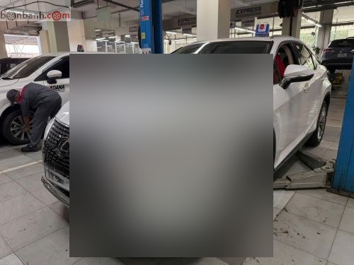 Lexus RX 300 2020 - ảnh 1