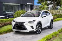 Lexus NX 300 2020 - ảnh 1