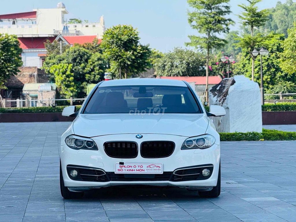 BMW 2010 - ảnh 1