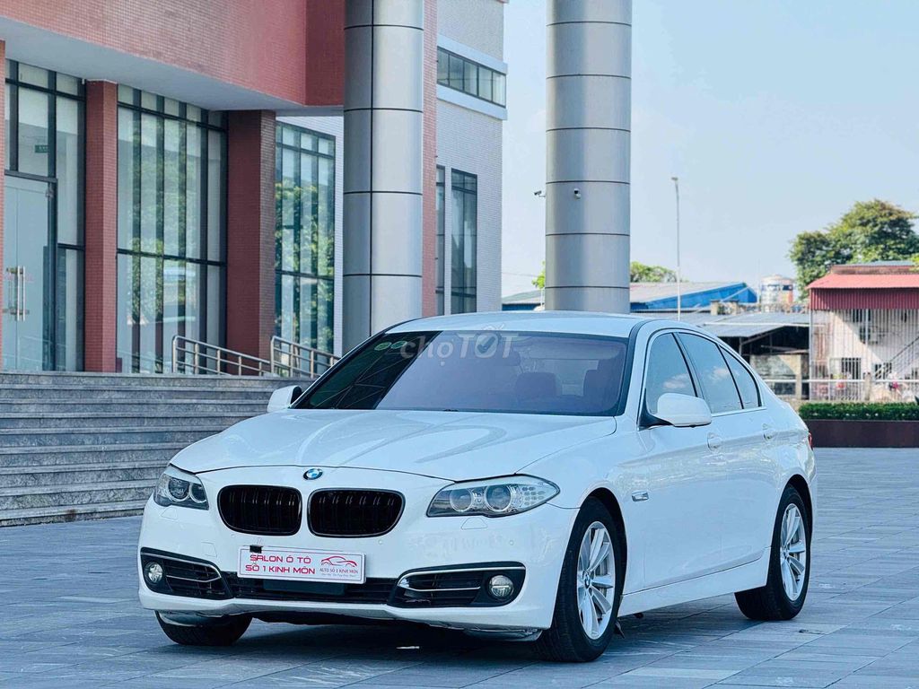 BMW 2010 - ảnh 2