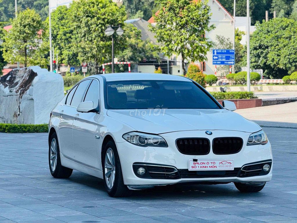 BMW 2010 - ảnh 3
