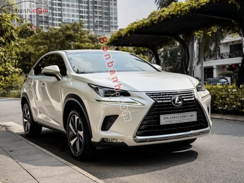 Lexus NX 300 2019 - ảnh 1