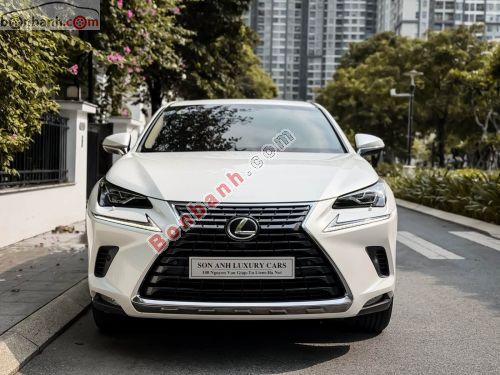 Lexus NX 300 2019 - ảnh 2