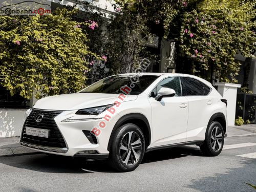 Lexus NX 300 2019 - ảnh 3