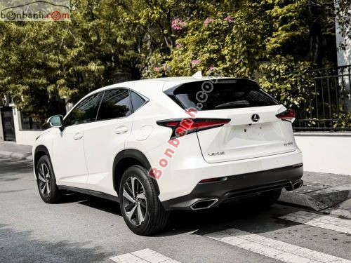 Lexus NX 300 2019 - ảnh 4