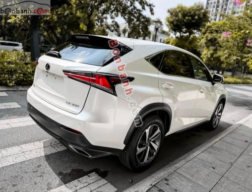 Lexus NX 300 2019 - ảnh 5