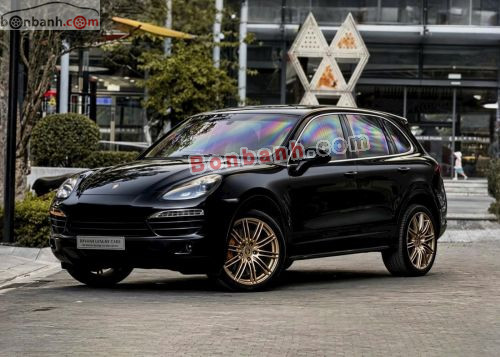 Porsche 2010 - ảnh 1